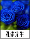 �E���搶